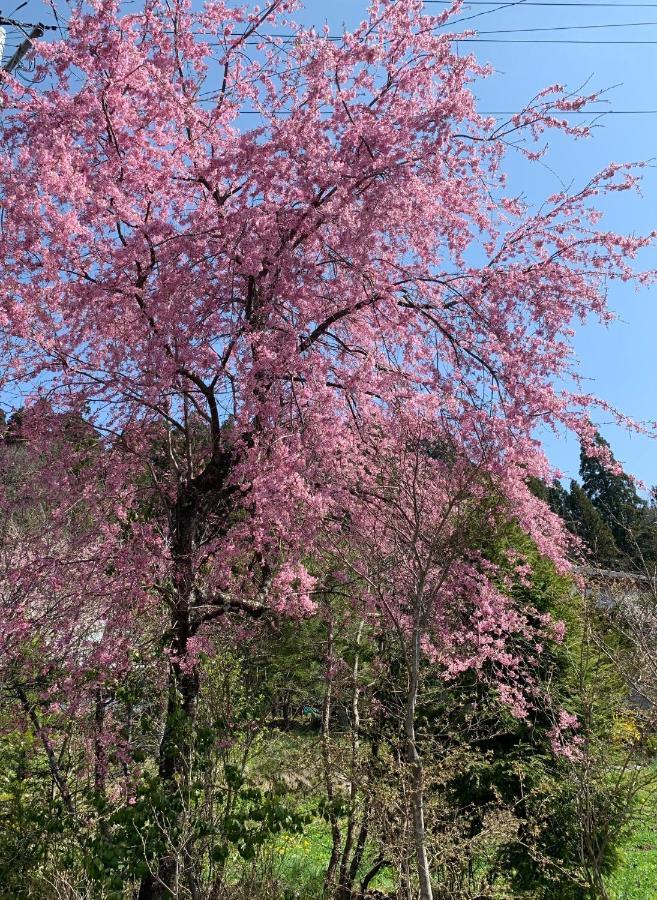 宿屋白金家 Yadoya-Shiroganeya 1日1組限定2名から8名様まで 全館貸切り 伝統的建造物の旅籠宿 Traditional Culture Experience Nagano Exterior photo